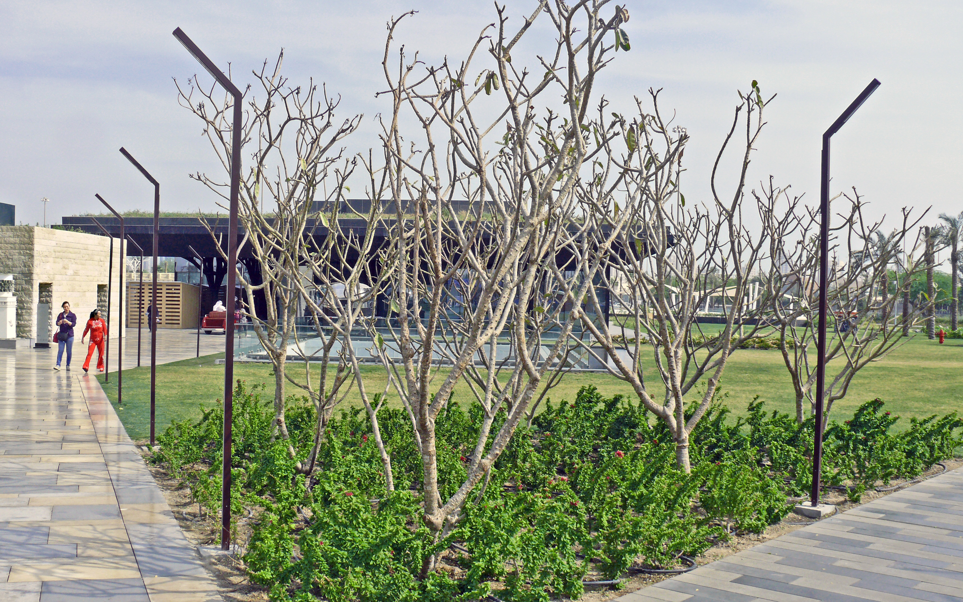 Despite the well-chosen vegetation additional irrigation is necessary. Park with plant beds and walkways